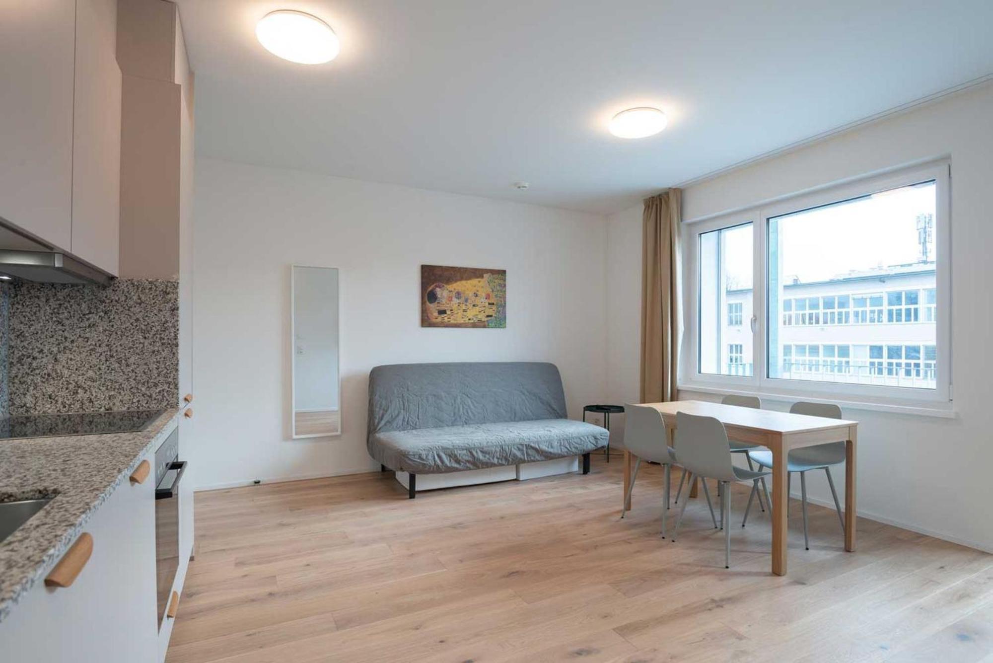 Hitrental Letzigrund - Appartement