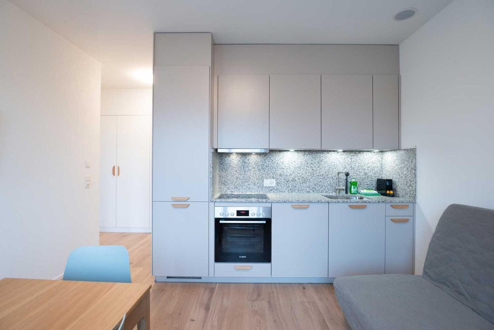 Hitrental Letzigrund - Appartement *